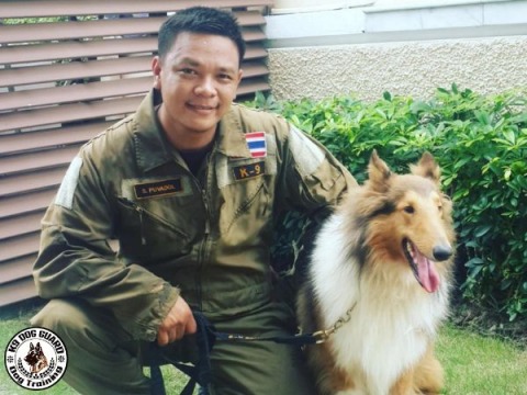 ศูนย์ฝึกสุนัขมืออาชีพ ฝึกสุนัขทุกสายพันธุ์